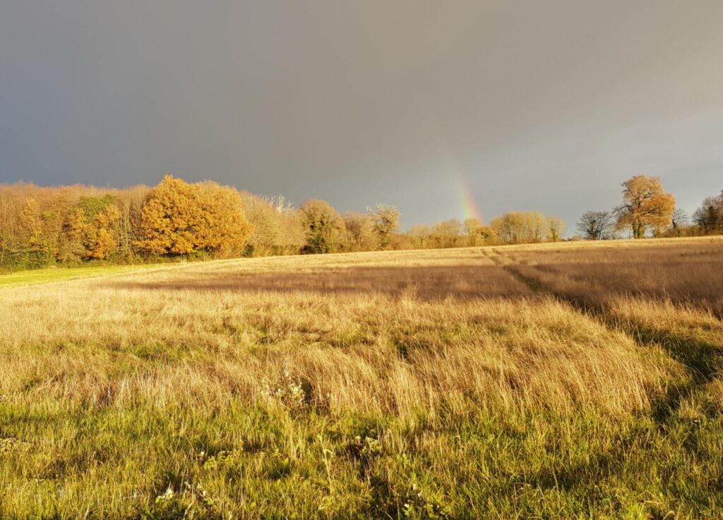 Ciel orageux avec arc en ciel dans la campagne