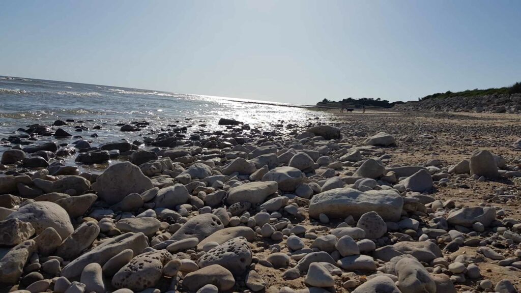 Vue sur une plage de galets par une belle journée ensoleillée. Mer calme.