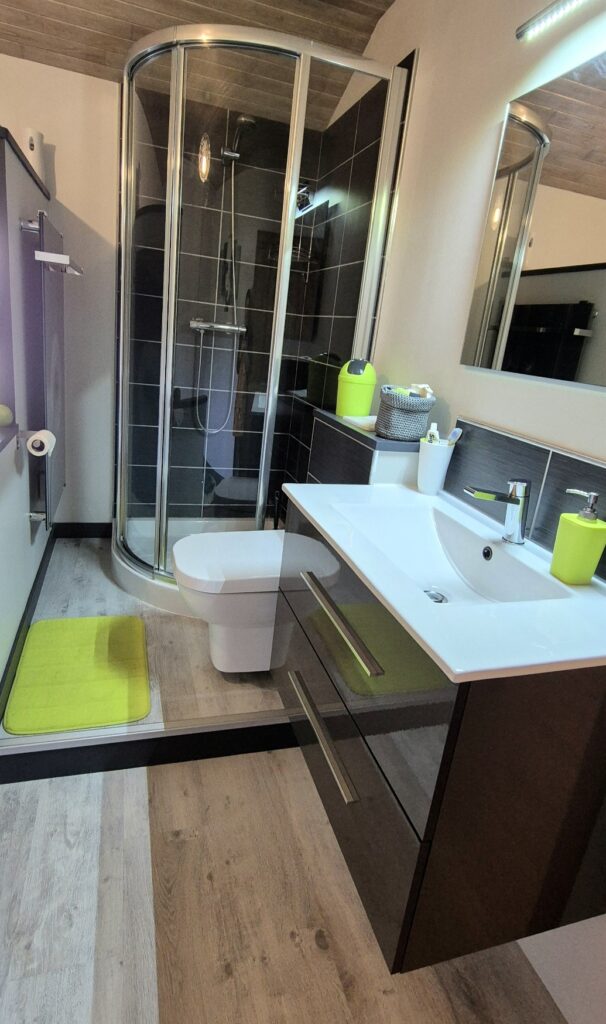 Salle d'eau contemporaine avec douche, WC, meuble vasque anthracite et touches de vert pomme