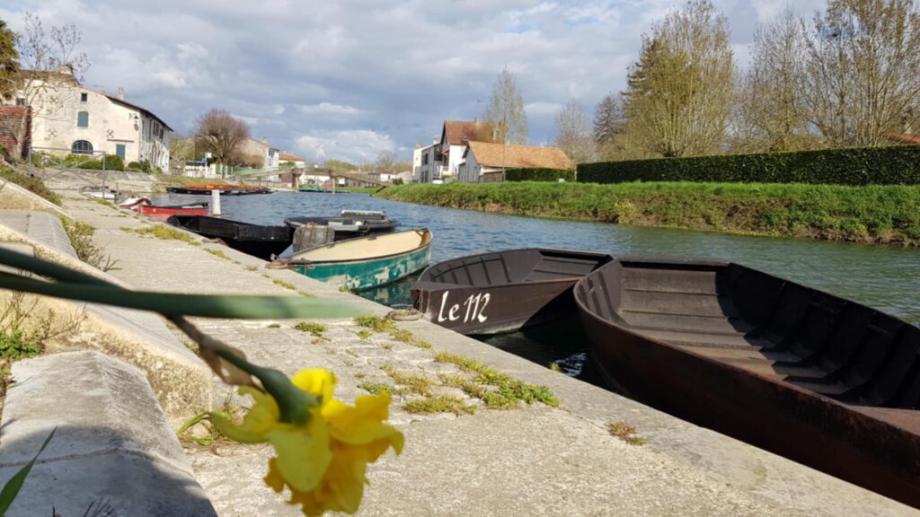 Barques traditionnelles sur les berges du Marais Poitevin