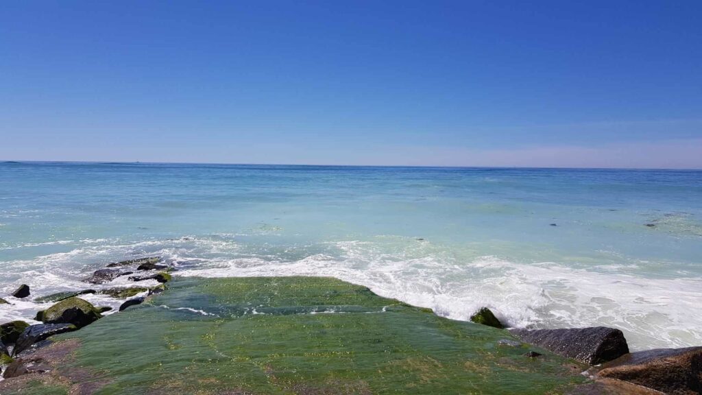 Vue plongeante d'une jetée recouverte de mousse avec en fond la mer bleu azur qui s'étend à l'horizon