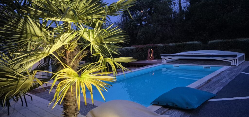 Vue de nuit sur une piscine entourée palmiers. Quelques poufs géants disposés de part ou d'autre aspirent à la détente.