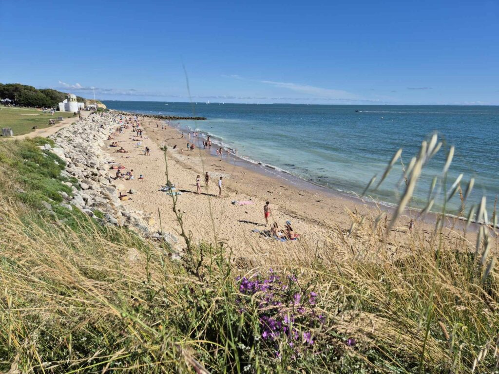 Vue panoramique sur une plage de sable et l'océan sous un ciel bleu, avec des herbes folles et des fleurs sauvages au premier plan
