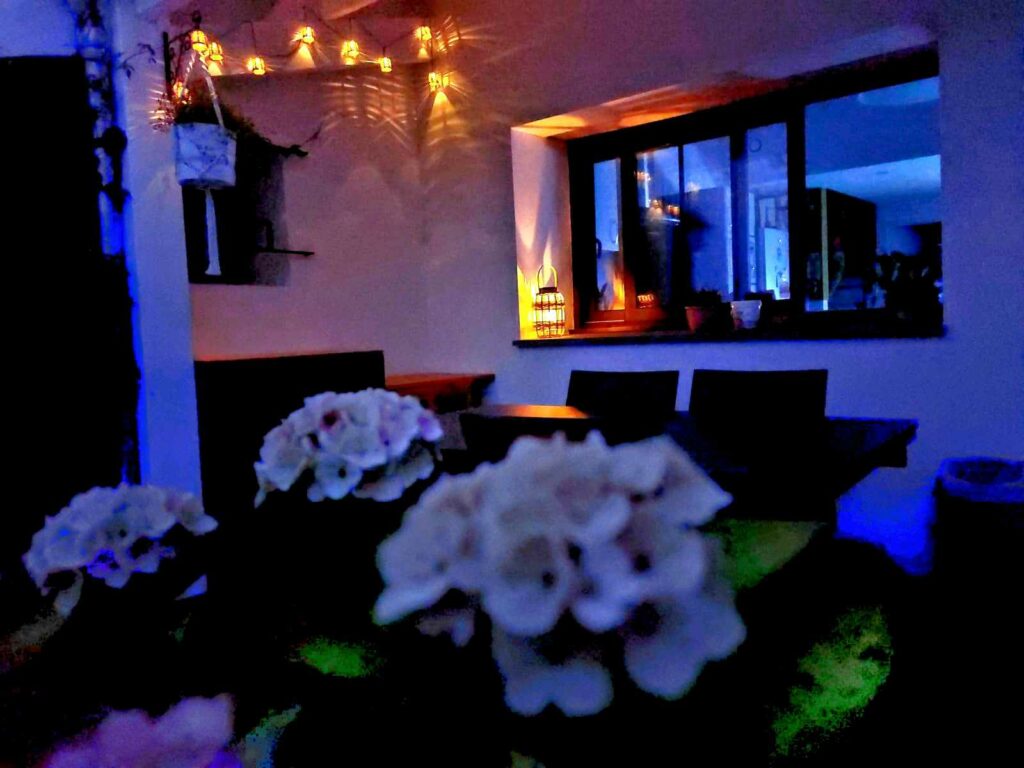 Terrasse extérieure vue de nuit et ses hortensias Maisonnette cosy près de La Rochelle