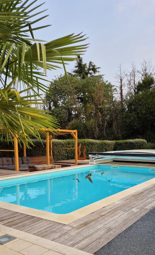Vue sur une piscine turquoise avec des hirondelles en plain vol et un palmier au premier plan